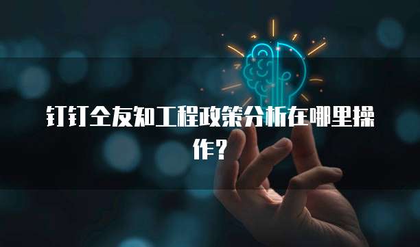 钉钉仝友知工程政策分析在哪里操作？