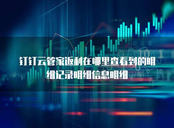 钉钉云管家返利在哪里查看到的明细记录明细信息明细