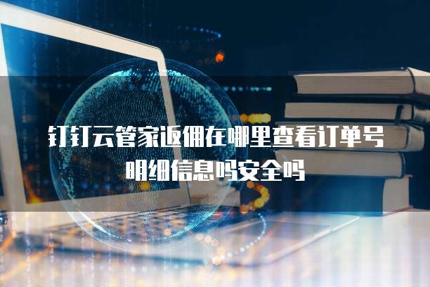 钉钉云管家返佣在哪里查看订单号明细信息吗安全吗