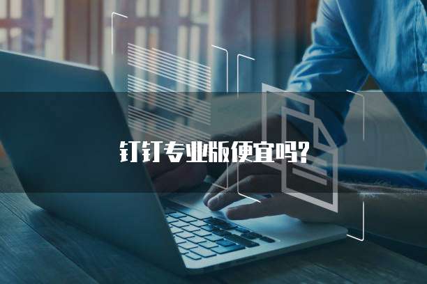 钉钉专业版便宜吗?