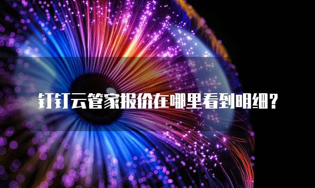 钉钉云管家报价在哪里看到明细?