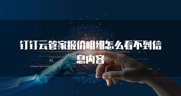 钉钉云管家报价明细怎么看不到信息内容