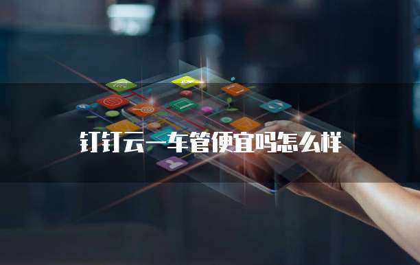 钉钉云一车管便宜吗怎么样
