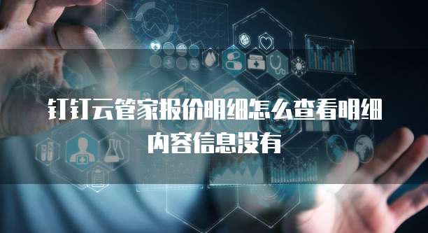 钉钉云管家报价明细怎么查看明细内容信息没有