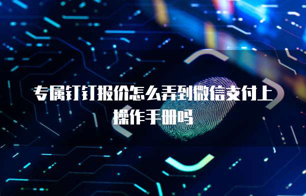 专属钉钉报价怎么弄到微信支付上操作手册吗