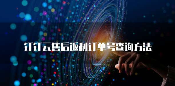 钉钉云售后返利订单号查询方法