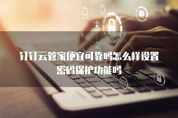 钉钉云管家便宜可靠吗怎么样设置密码保护功能吗
