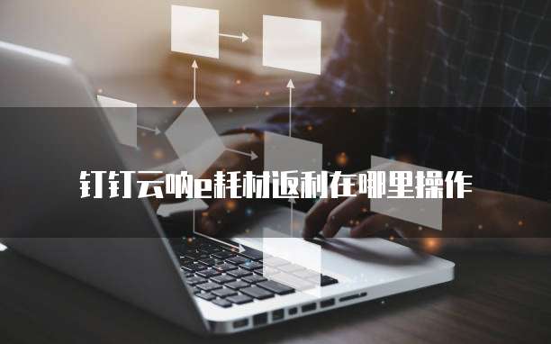 钉钉云呐e耗材返利在哪里操作