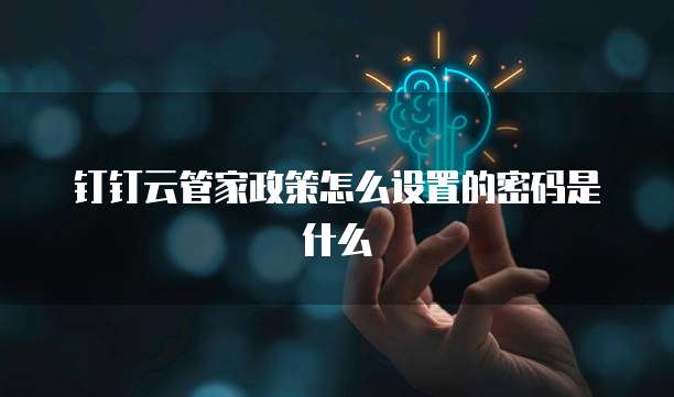 钉钉云管家政策怎么设置的密码是什么