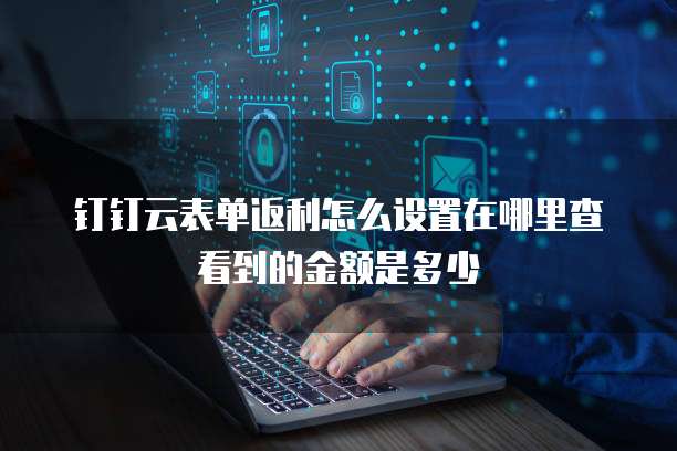 钉钉云表单返利怎么设置在哪里查看到的金额是多少