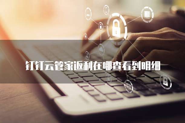 钉钉云管家返利在哪查看到明细