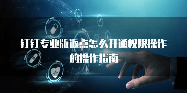 钉钉专业版返点怎么开通权限操作的操作指南