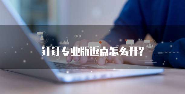 钉钉专业版返点怎么开？