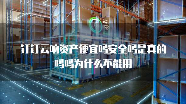 钉钉云呐资产便宜吗安全吗是真的吗吗为什么不能用