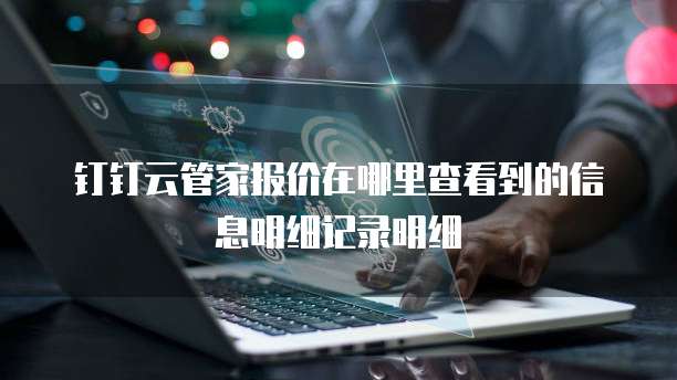 钉钉云管家报价在哪里查看到的信息明细记录明细