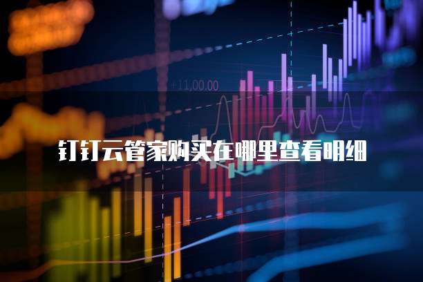 钉钉云管家购买在哪里查看明细