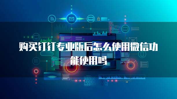 购买钉钉专业版后怎么使用微信功能使用吗
