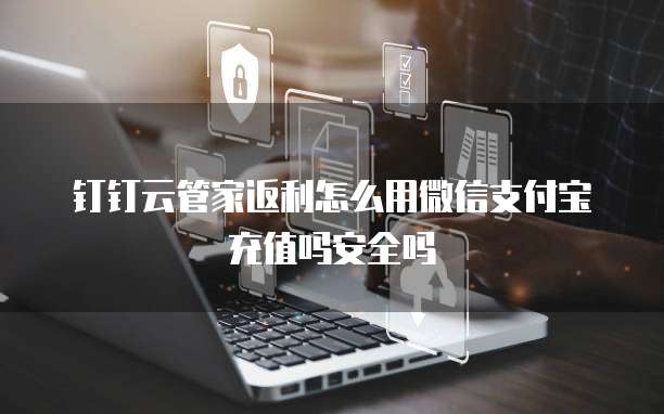 钉钉云管家返利怎么用微信支付宝充值吗安全吗