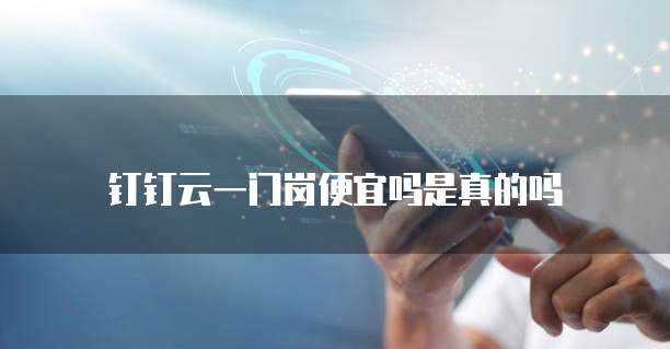 钉钉云一门岗便宜吗是真的吗