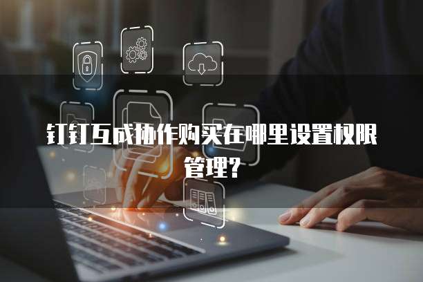 钉钉互成协作购买在哪里设置权限管理？