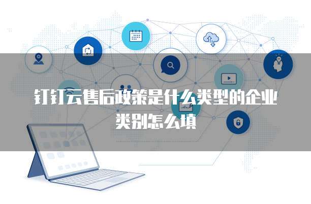 钉钉云售后政策是什么类型的企业类别怎么填