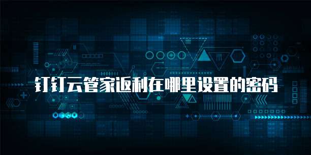 钉钉云管家返利在哪里设置的密码