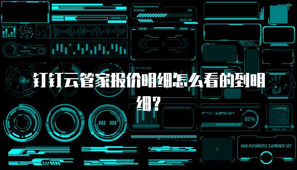 钉钉云管家报价明细怎么看的到明细?
