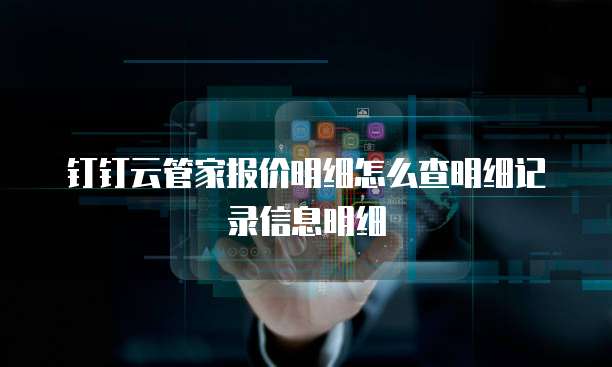 钉钉云管家报价明细怎么查明细记录信息明细