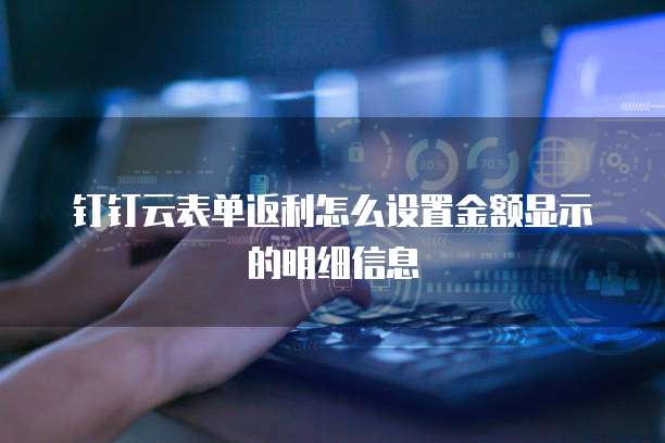 钉钉云表单返利怎么设置金额显示的明细信息