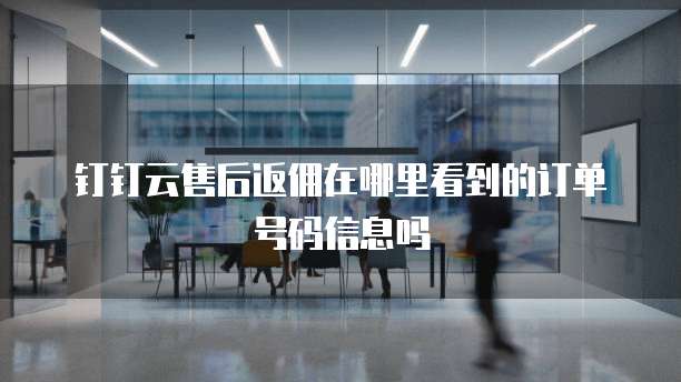 钉钉云售后返佣在哪里看到的订单号码信息吗