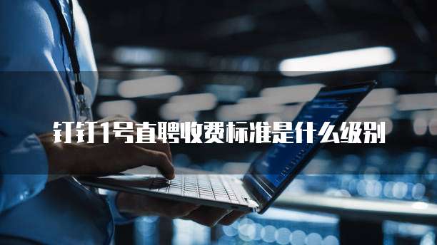 钉钉1号直聘收费标准是什么级别
