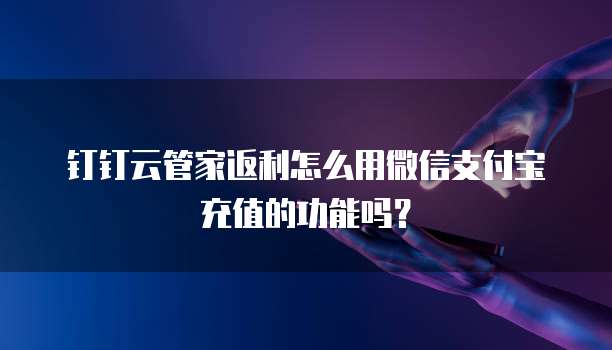 钉钉云管家返利怎么用微信支付宝充值的功能吗?