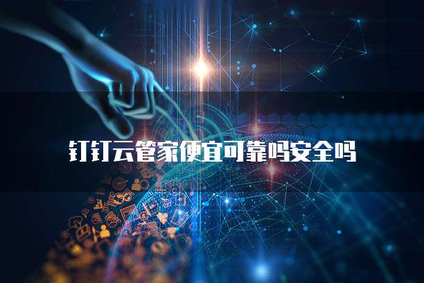 钉钉云管家便宜可靠吗安全吗