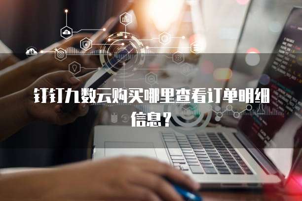 钉钉九数云购买哪里查看订单明细信息？