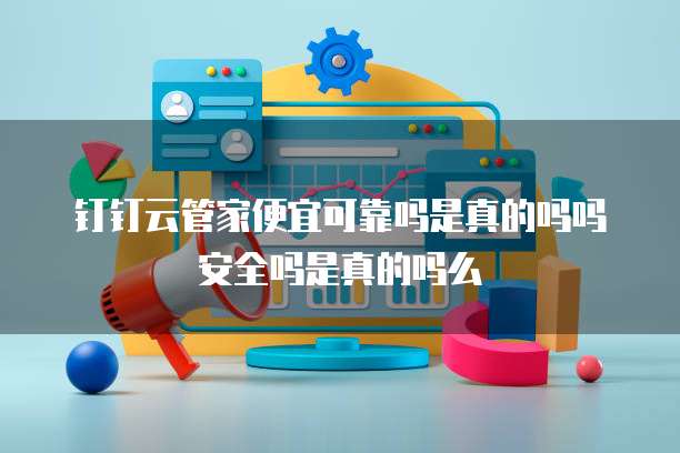 钉钉云管家便宜可靠吗是真的吗吗安全吗是真的吗么