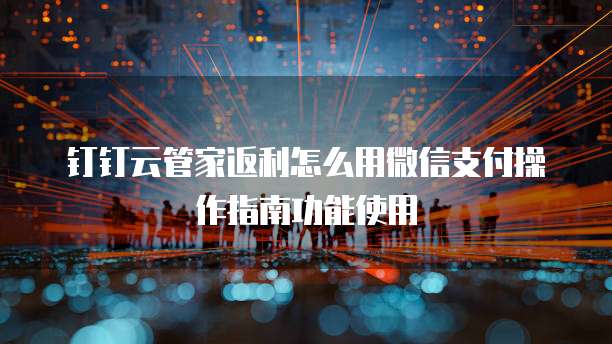 钉钉云管家返利怎么用微信支付操作指南功能使用