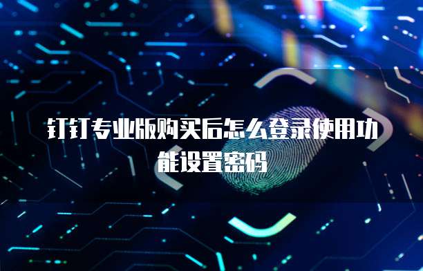 钉钉专业版购买后怎么登录使用功能设置密码