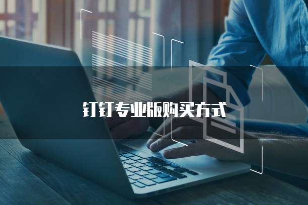 钉钉专业版购买方式