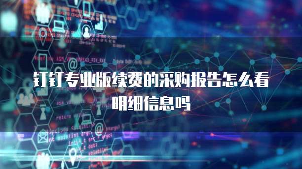 钉钉专业版续费的采购报告怎么看明细信息吗