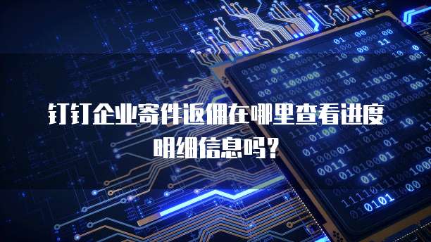 钉钉企业寄件返佣在哪里查看进度明细信息吗?