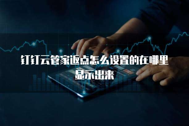 钉钉云管家返点怎么设置的在哪里显示出来