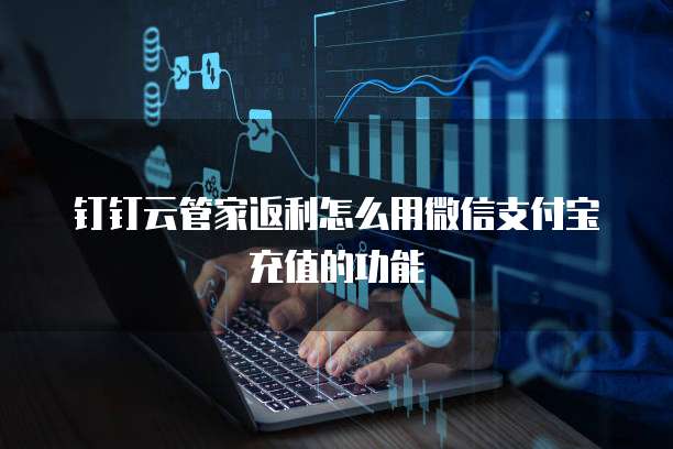 钉钉云管家返利怎么用微信支付宝充值的功能