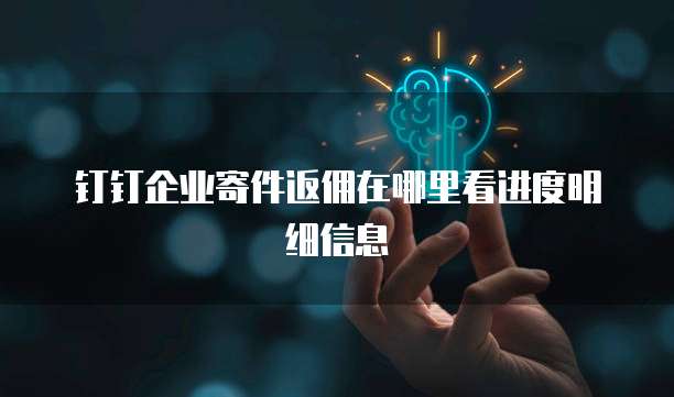 钉钉企业寄件返佣在哪里看进度明细信息