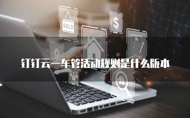 钉钉云一车管活动规则是什么版本