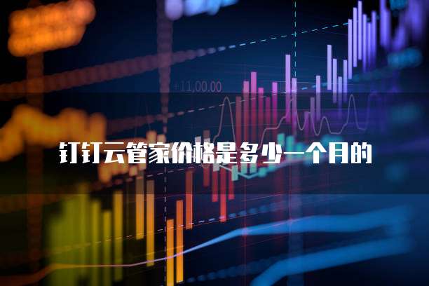 钉钉云管家价格是多少一个月的