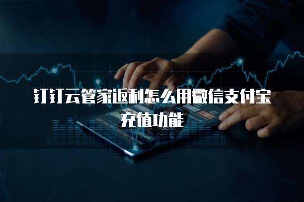 钉钉云管家返利怎么用微信支付宝充值功能
