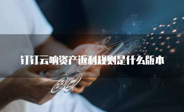 钉钉云呐资产返利规则是什么版本