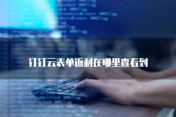 钉钉云表单返利在哪里查看到
