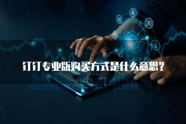 钉钉专业版购买方式是什么意思?