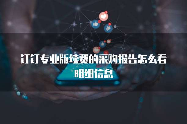 钉钉专业版续费的采购报告怎么看明细信息
